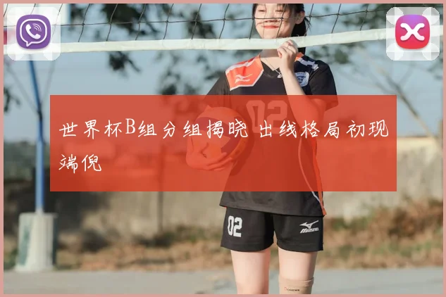 世界杯B组分组揭晓 出线格局初现端倪