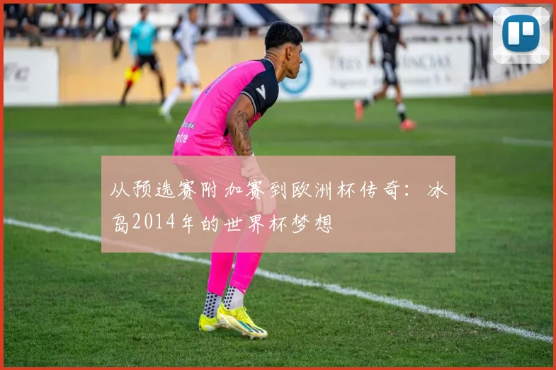从预选赛附加赛到欧洲杯传奇：冰岛2014年的世界杯梦想
