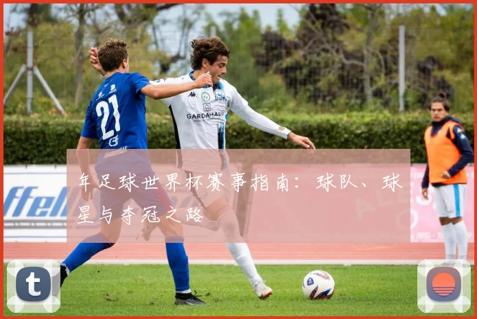年足球世界杯赛事指南：球队、球星与夺冠之路