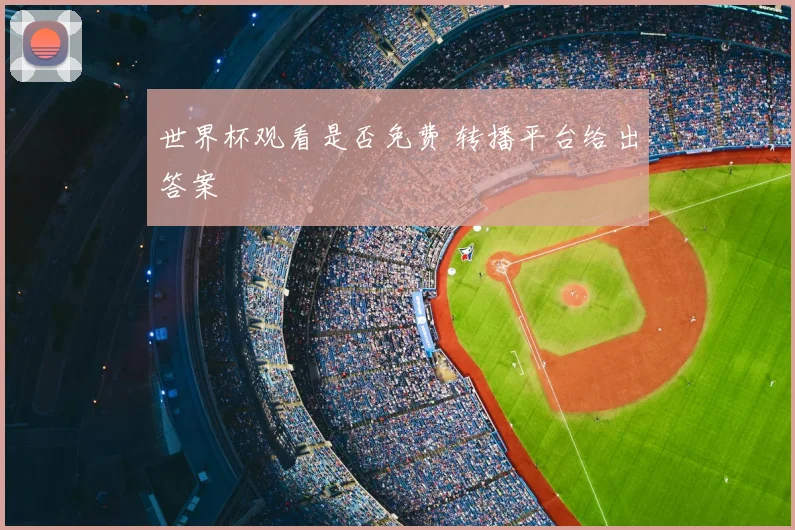 世界杯观看是否免费 转播平台给出答案