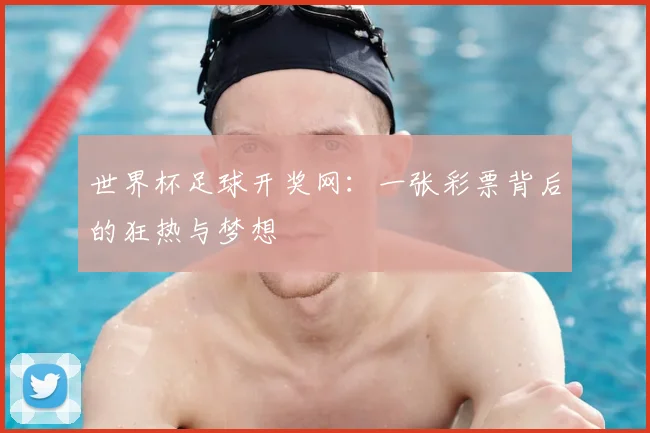 世界杯足球开奖网：一张彩票背后的狂热与梦想