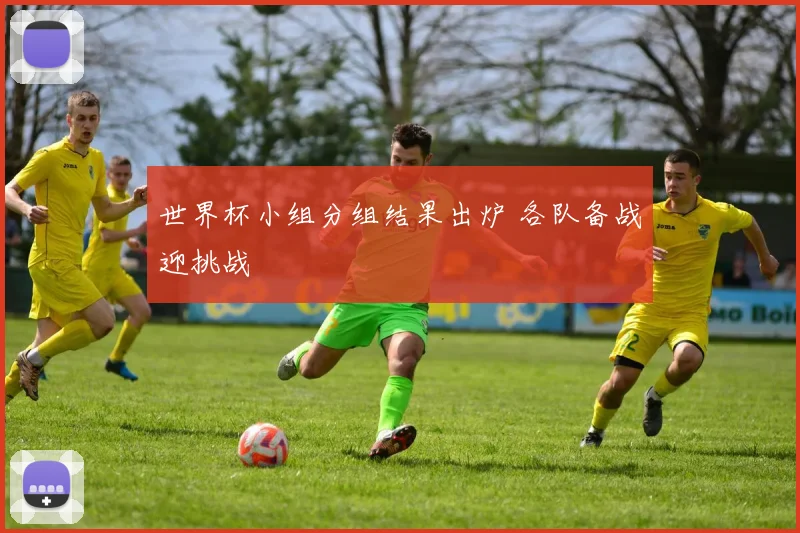 世界杯小组分组结果出炉 各队备战迎挑战