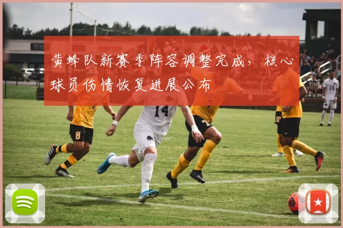 黄蜂队新赛季阵容调整完成，核心球员伤情恢复进展公布