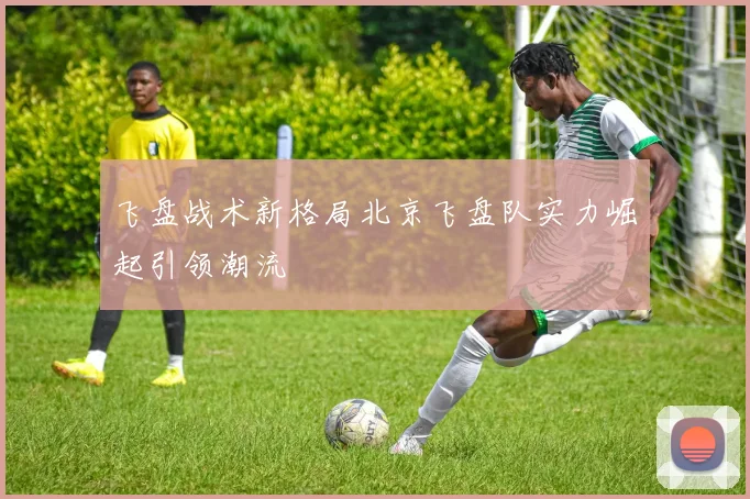 飞盘战术新格局北京飞盘队实力崛起引领潮流