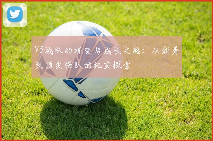 V5战队的蜕变与成长之路：从新秀到顶尖强队的纪实探索