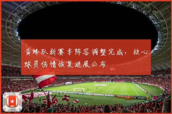 黄蜂队新赛季阵容调整完成，核心球员伤情恢复进展公布