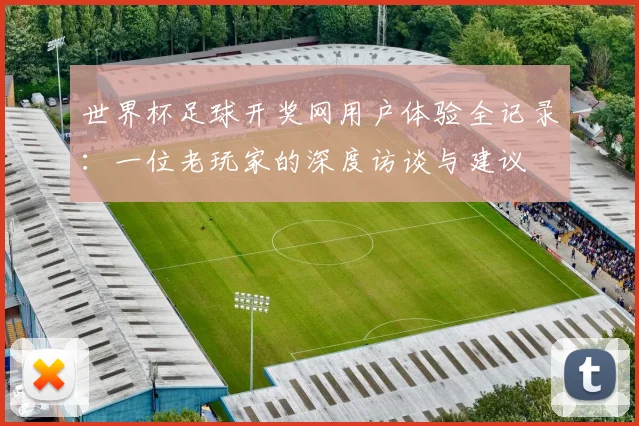 世界杯足球开奖网用户体验全记录：一位老玩家的深度访谈与建议