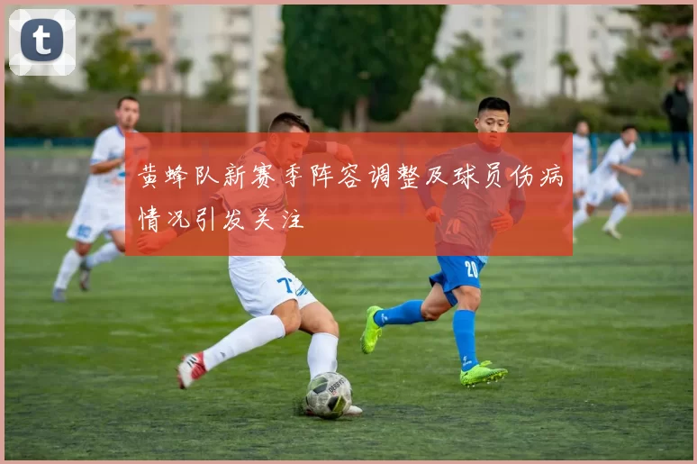 黄蜂队新赛季阵容调整及球员伤病情况引发关注